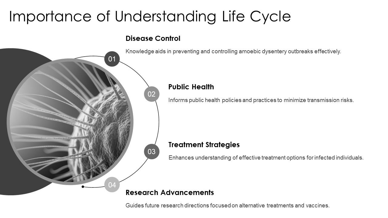 Life Cycle Stages Of Entamoeba Histolytica Explained Clearly PPT Summary AT Slide03