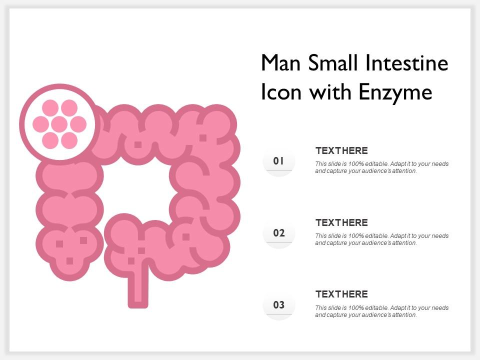 Man small intestine icon with enzyme Slide01