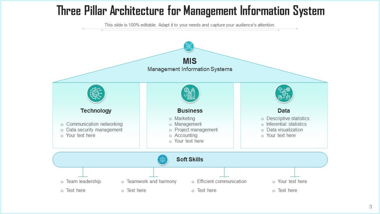 Management information system planning resource performance ...