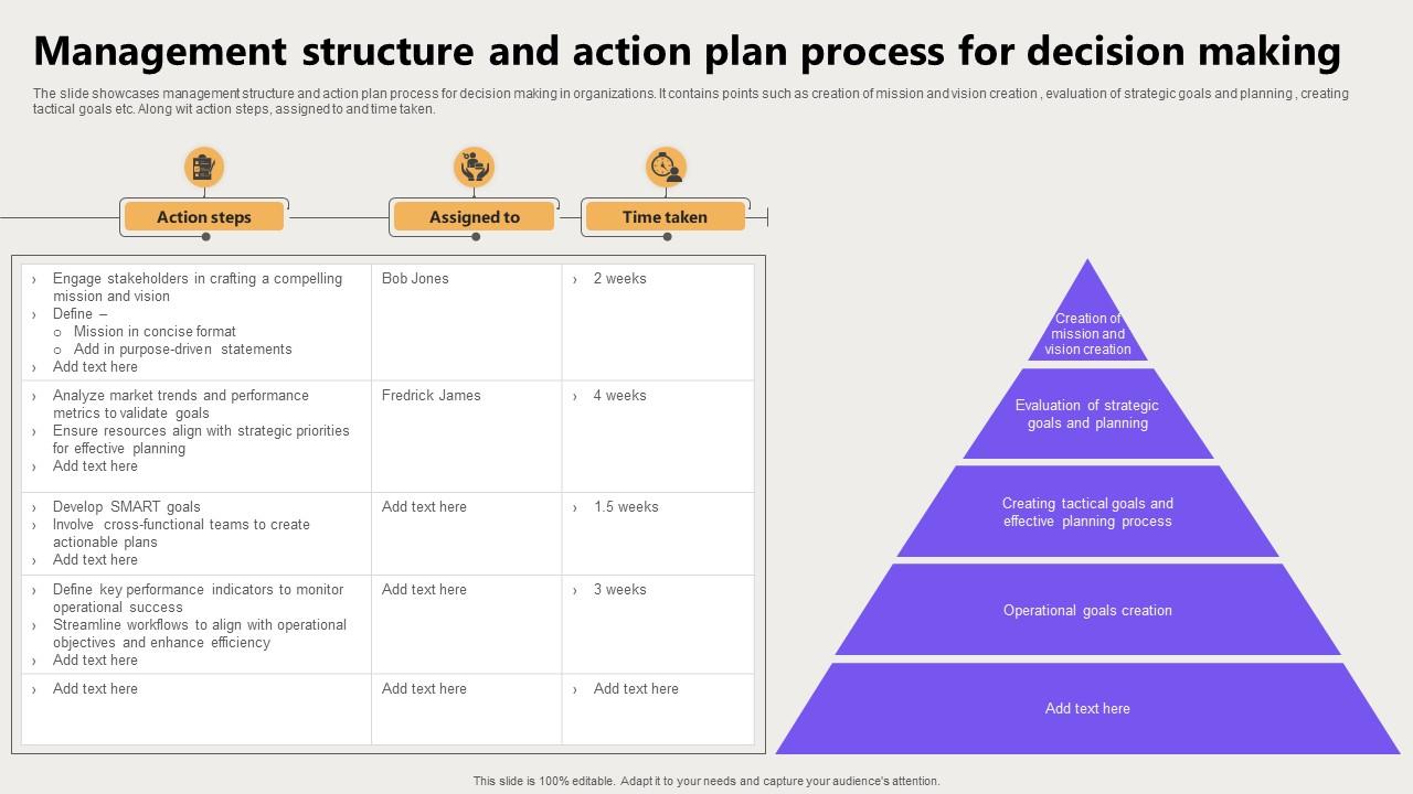 Management Structure And Action Plan Process For Decision Making PPT Slide