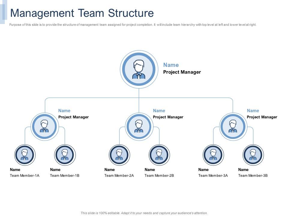 Management team structure it project team building ppt powerpoint presentation file vector Slide01