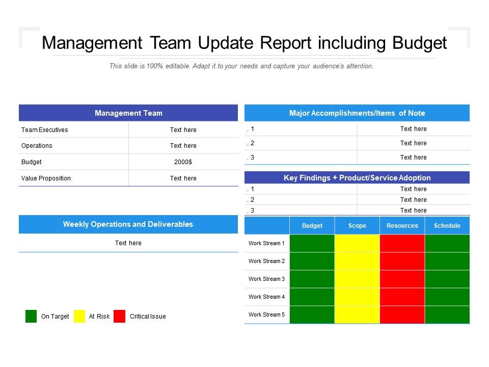 Management team update report including budget