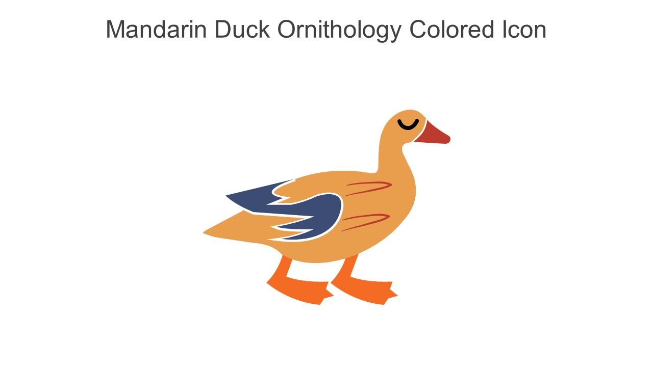 Mandarin Duck Ornithology Colored Icon In Powerpoint Pptx Png And Editable Eps Format