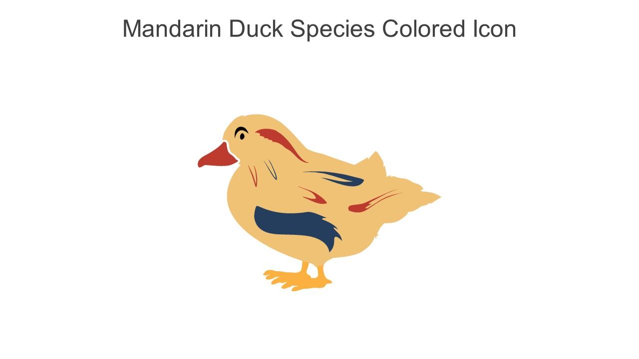 Mandarin Duck Species Colored Icon In Powerpoint Pptx Png And Editable Eps Format