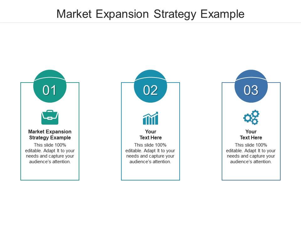 Market Expansion Strategy Example Ppt Powerpoint Presentation File
