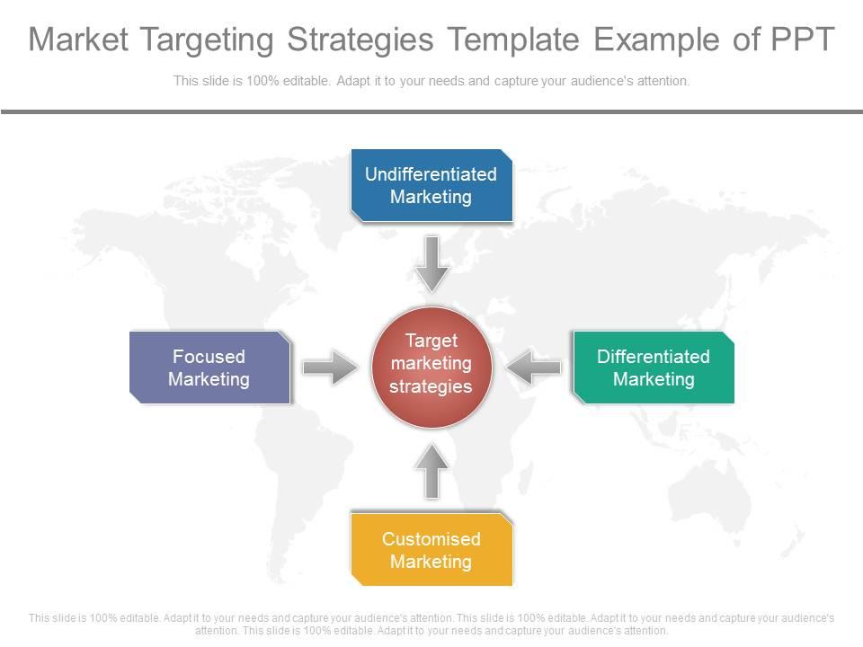 Market Targeting Strategies Template Example Of Ppt PowerPoint
