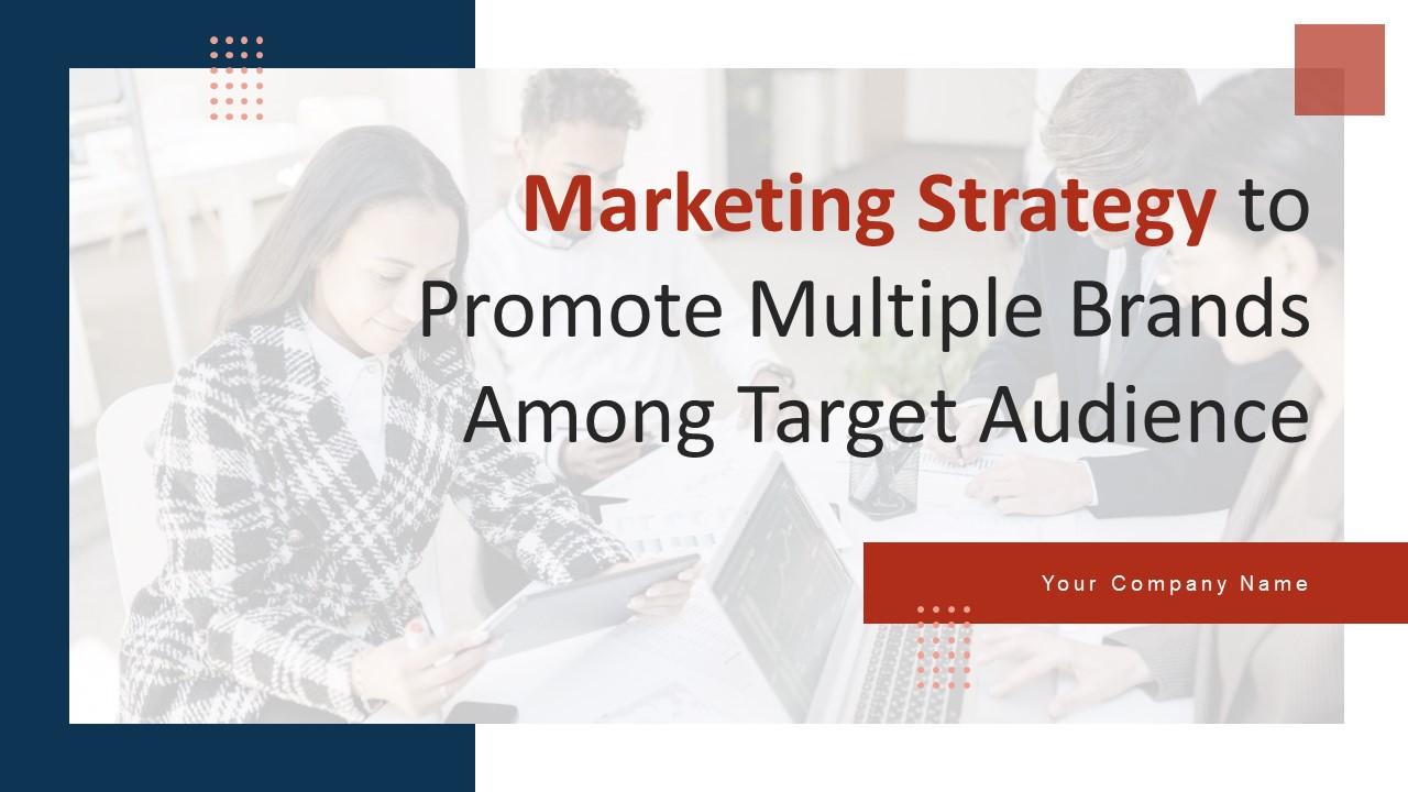 Marketing Strategy To Promote Multiple Brands Among Target Audience Branding CD V Slide01