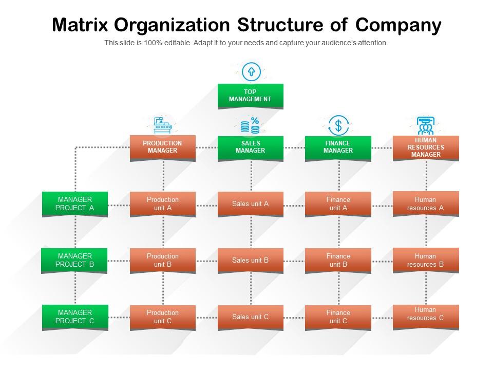 Matrix organization structure of company Slide01