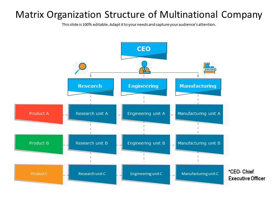 what is a multinational organization