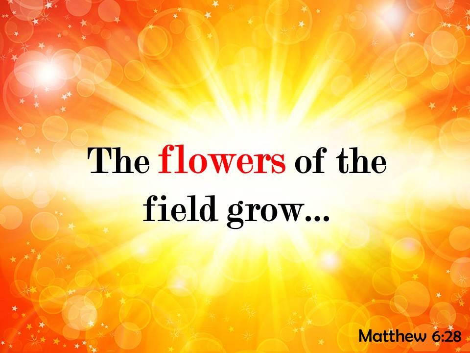 Matthew 6 28 the flowers of the field powerpoint church sermon Slide01