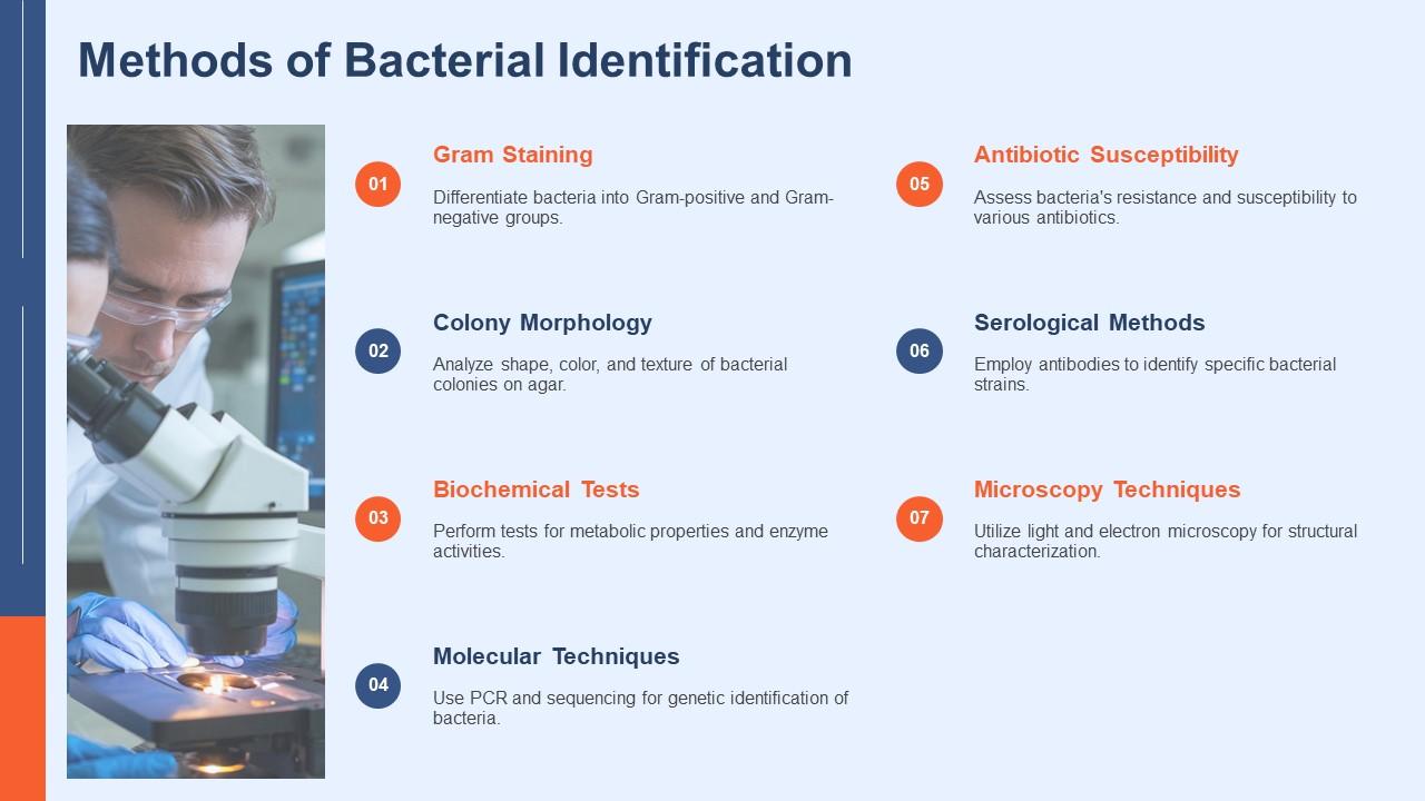 Methods Of Bacterial Identification Archaebacteria And Eubacteria PPT Presentation ACP Methods Of Bacterial Identification Archaebacteria And Eubacteria PPT Presentation ACP