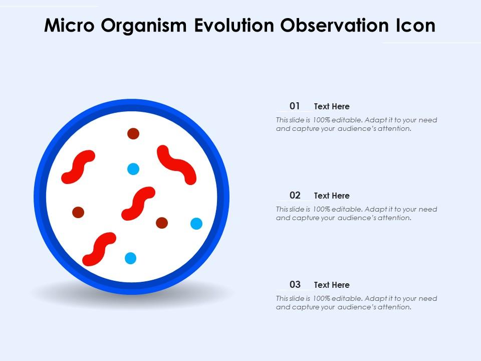 Micro organism evolution observation icon Slide01