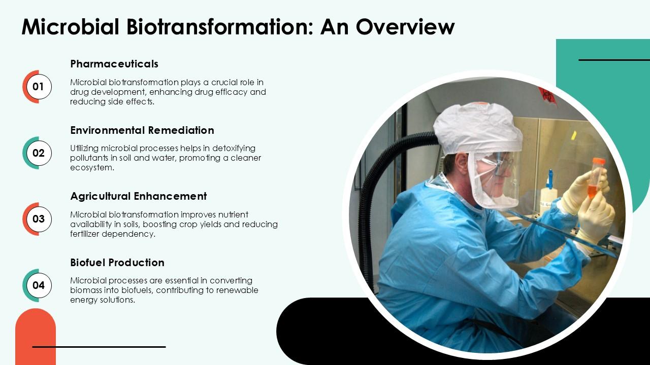 Microbial Biotransformation An Overview PPT PowerPoint ST AI SS Microbial Biotransformation An Overview PPT PowerPoint ST AI SS