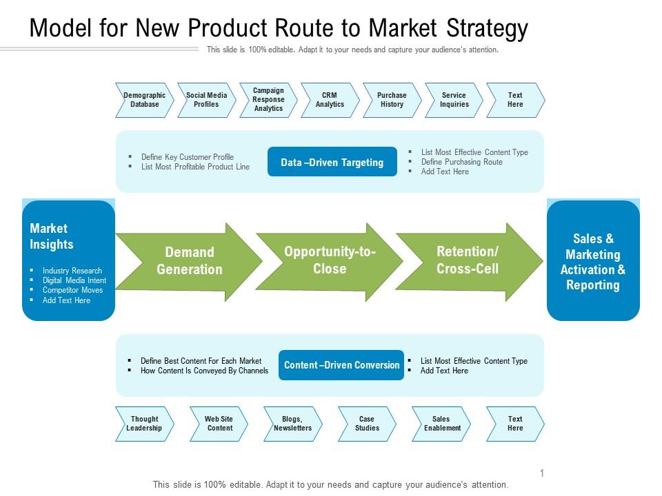 Model for new product route to market strategy Slide00