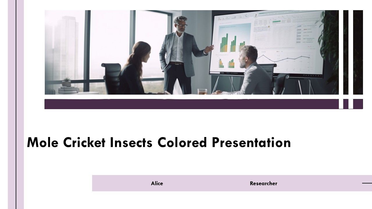 Mole Cricket Insects Colored Presentation PPT Example AT Mole Cricket Insects Colored Presentation PPT Example AT