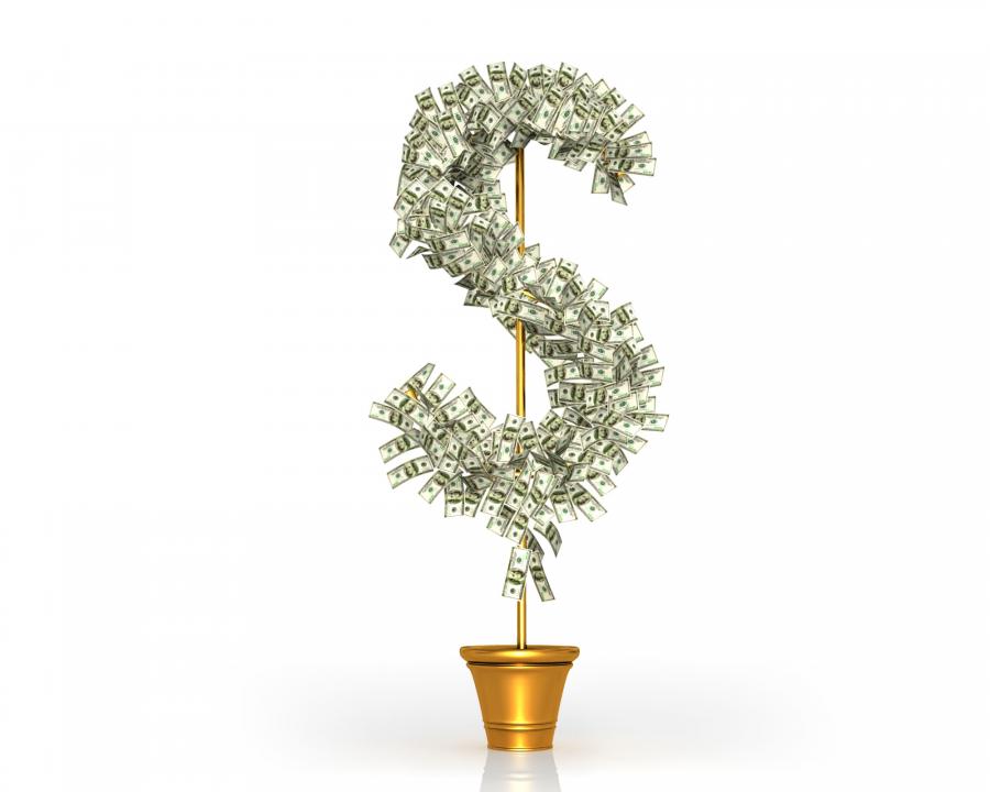 Money Tree In Shape Of Dollar Symbol Stock Photo | PowerPoint Presentation  Slides | PPT Slides Graphics | Sample PPT Files | Template Slide