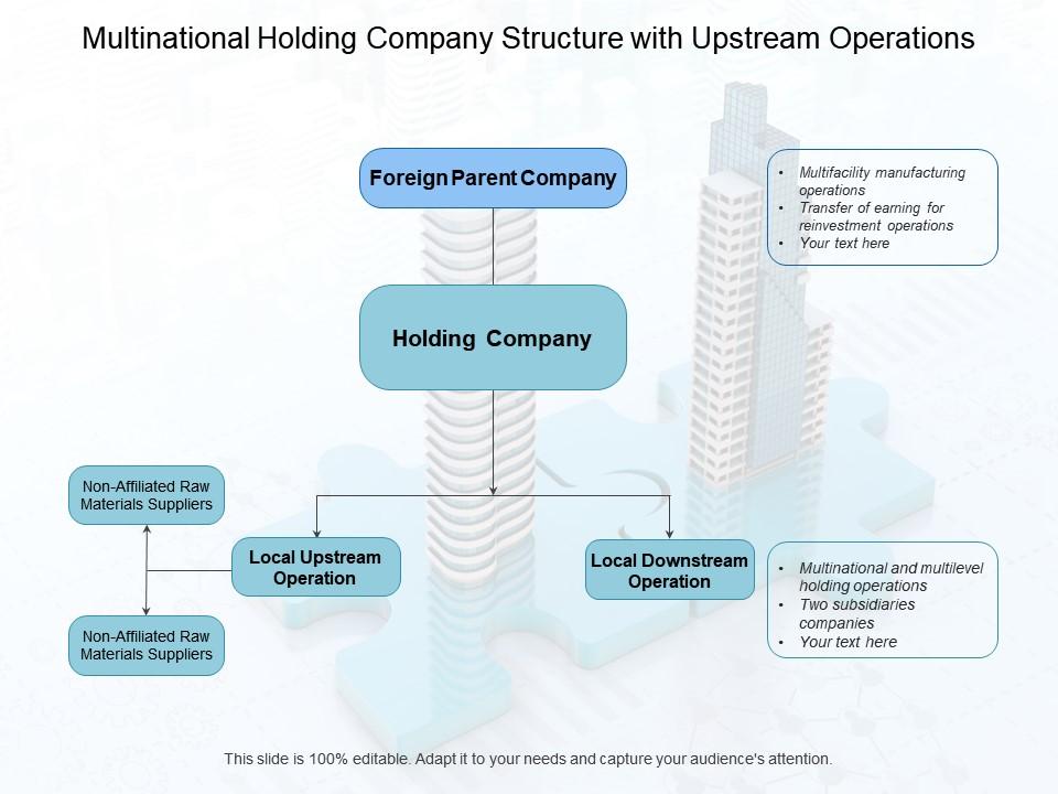 multinational organizational structure