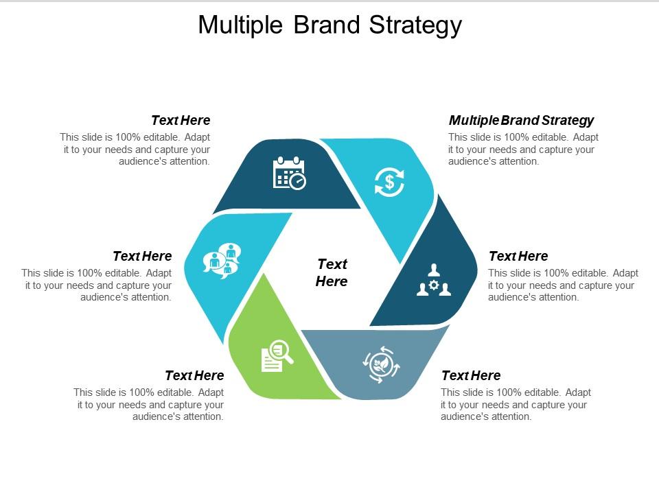 Multiple Brand Strategy Ppt Powerpoint Presentation Professional