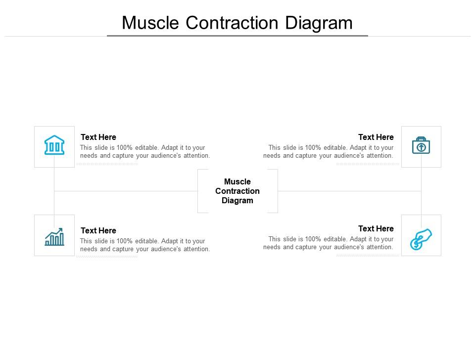 muscle contraction ppt