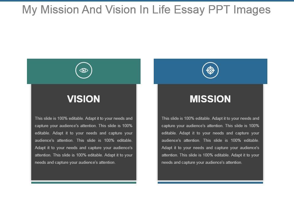 vision in life essay