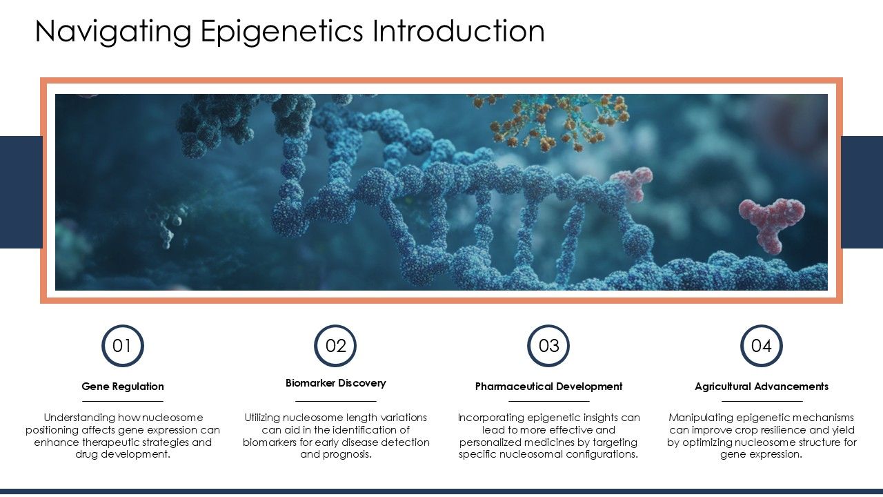 Navigating Epigenetics Business Implications Of Nucleosome Length PPT
