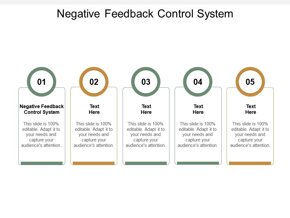 Negative Feedback Control System Ppt Powerpoint Presentation Gallery Summary Cpb Templates