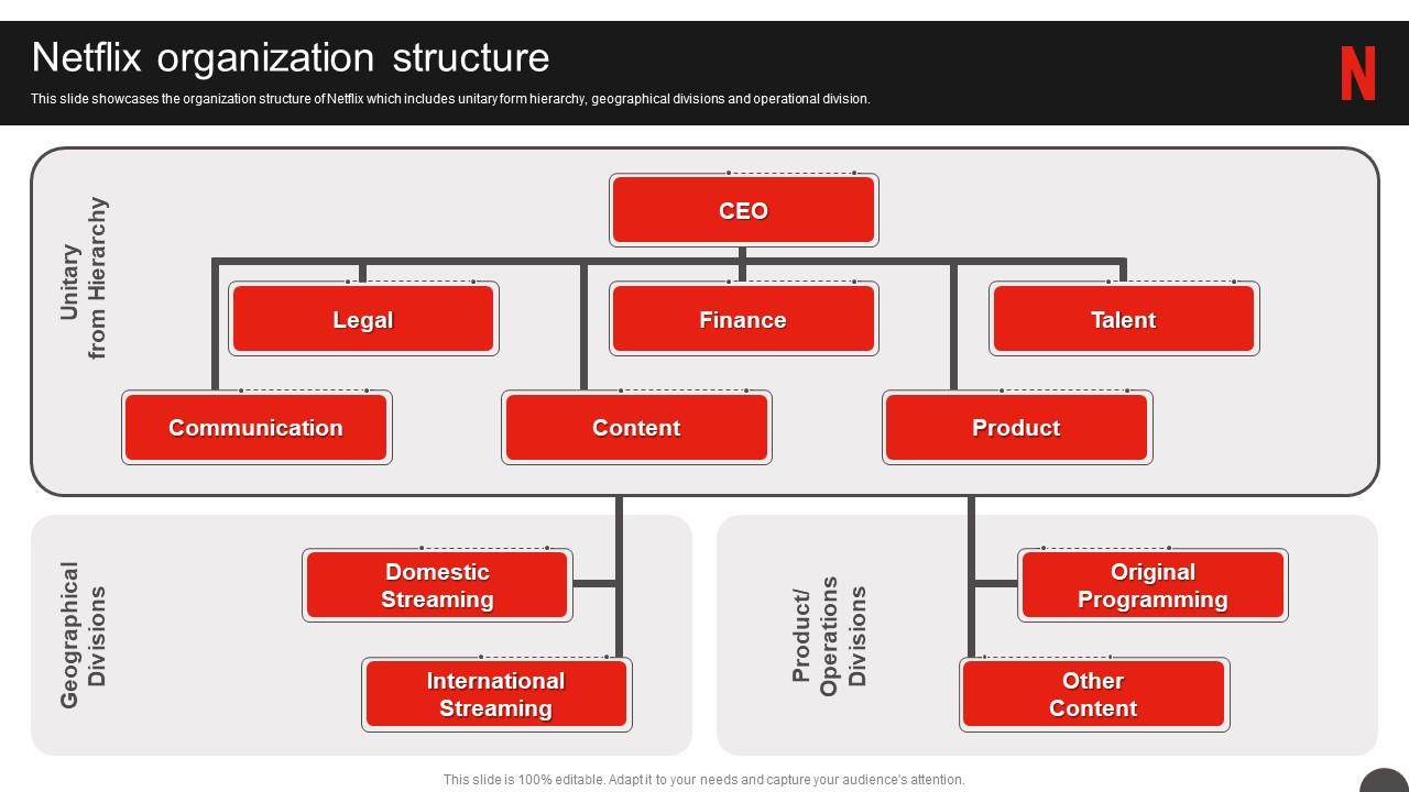 Netflix Company Profile Netflix Organization Structure Ppt Styles Background Designs