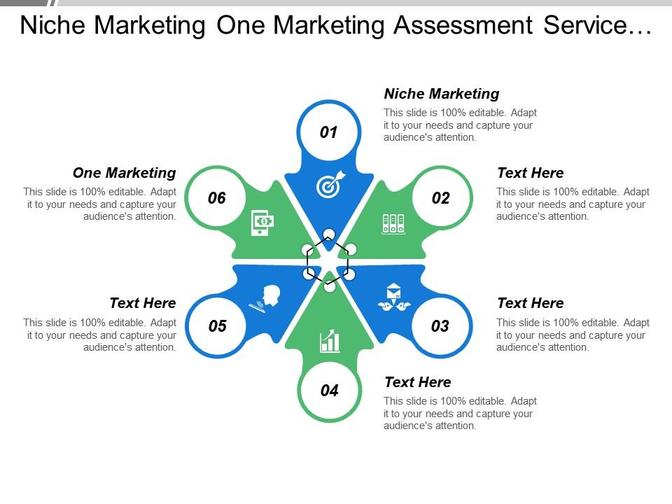niche_marketing_one_marketing_assessment_service_traditional_marketing_Slide01