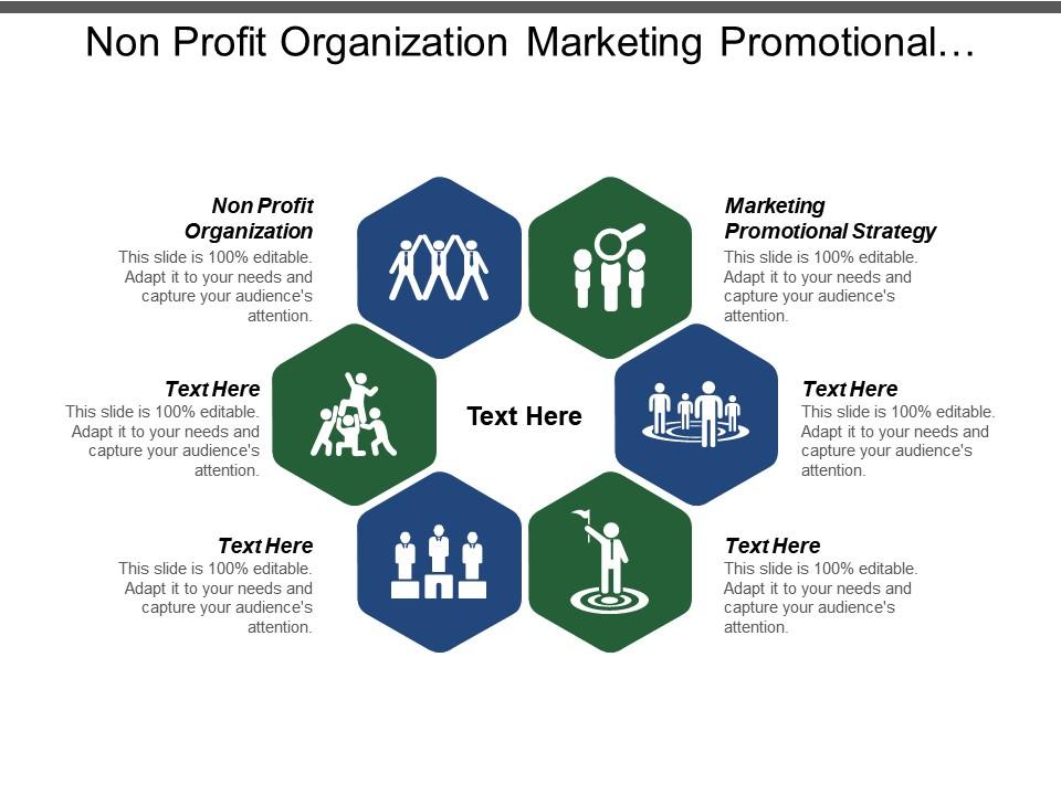 Non Profit Organization Marketing Promotional Strategy Partnership