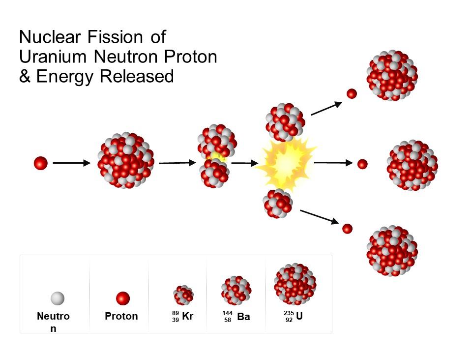 Nuclear fission of uranium neutron proton and energy released Slide01