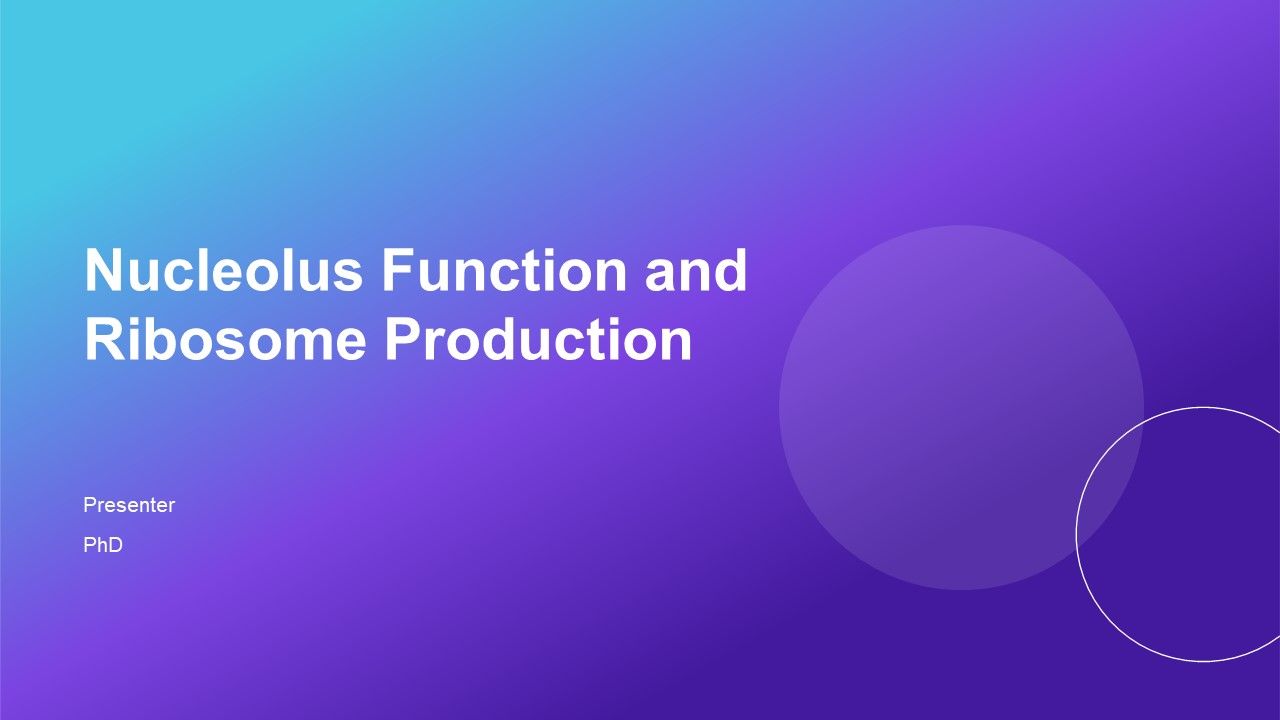 Nucleolus Function And Ribosome Production PPT Mockup AT Nucleolus Function And Ribosome Production PPT Mockup AT