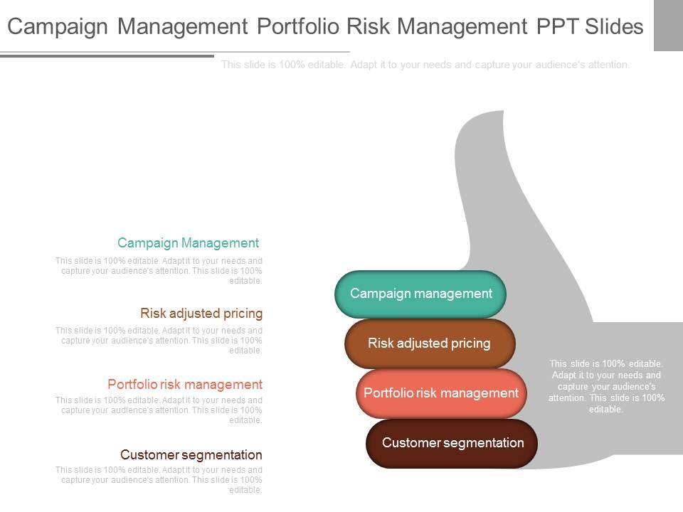 One Campaign Management Portfolio Risk Management Ppt Slides Slide01