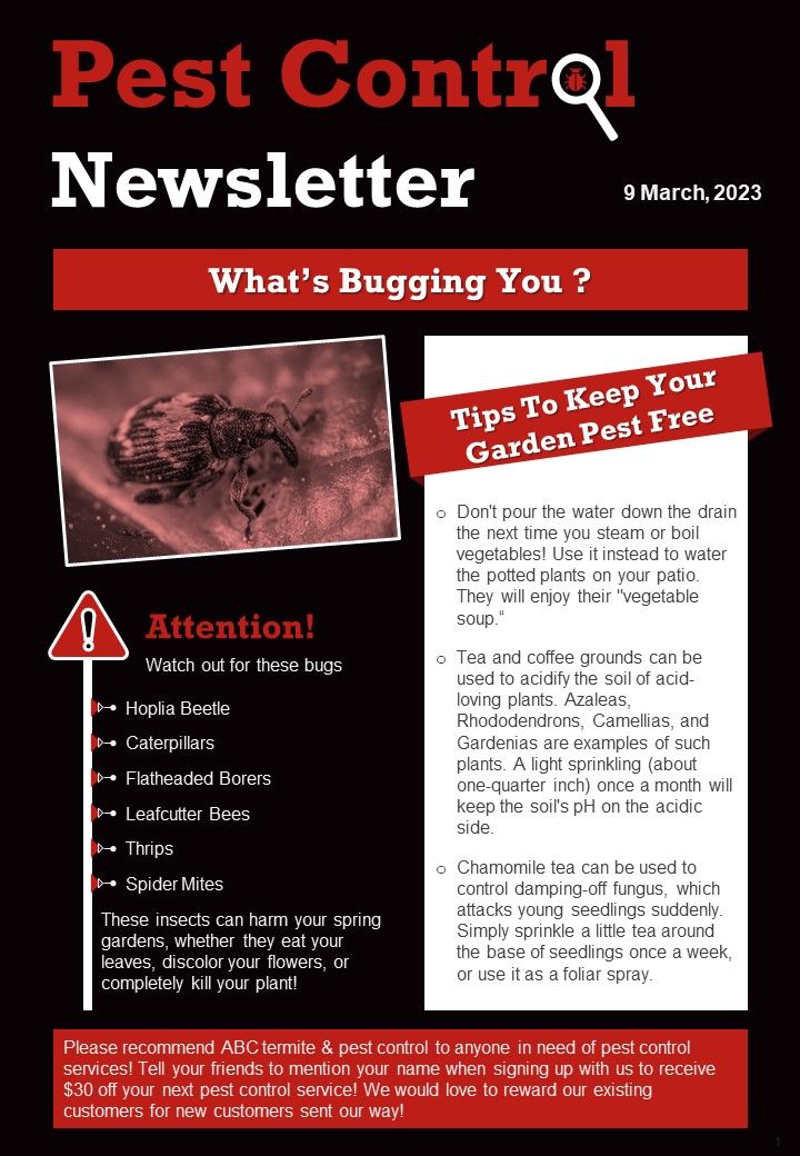 One Page Pest Control Newsletter Presentation Report Infographic Ppt