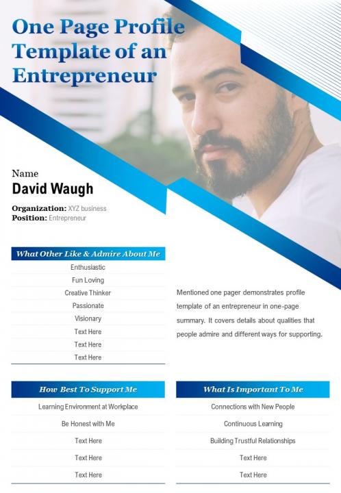 One Page Profile Template Of An Entrepreneur Presentation Report Infographic PPT PDF Document Slide01