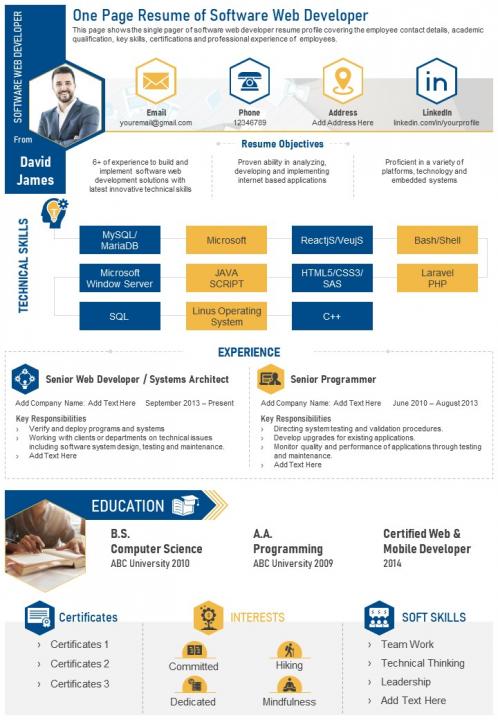 One page resume of software web developer presentation report infographic ppt pdf document Slide01