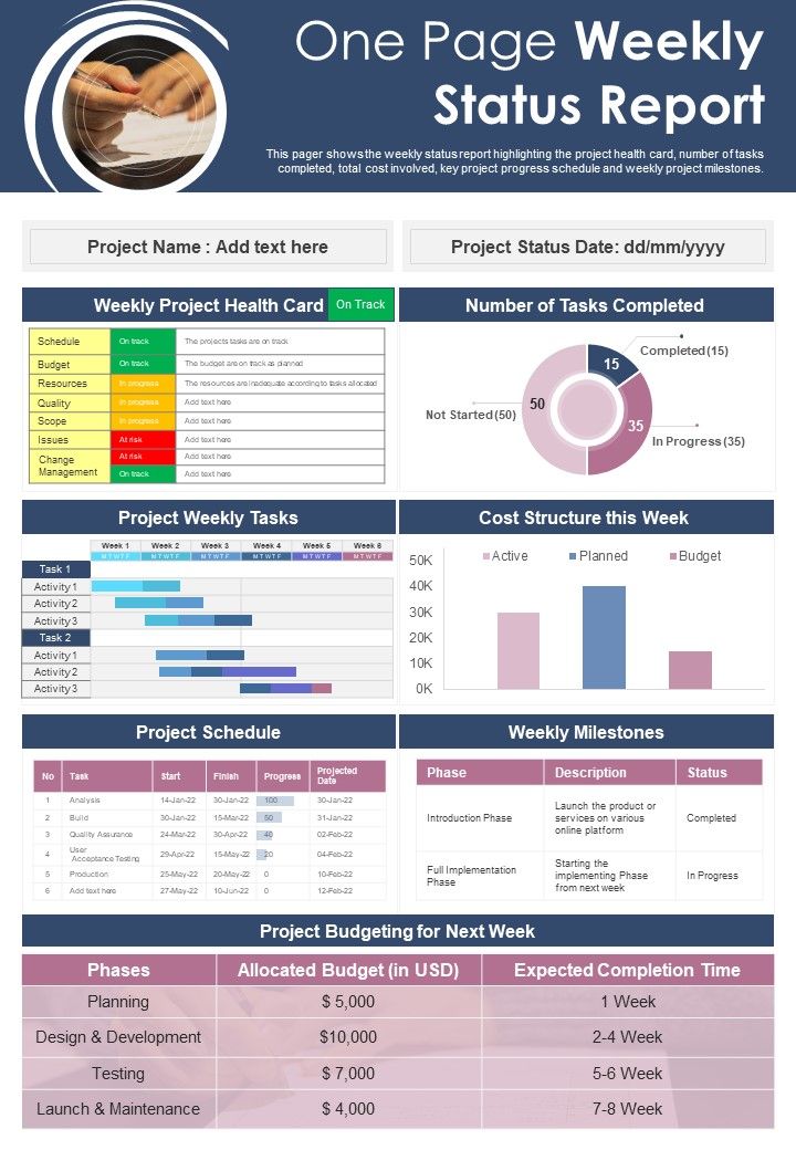 One Page Weekly Status Report Presentation Infographic Ppt Pdf Document Slide01