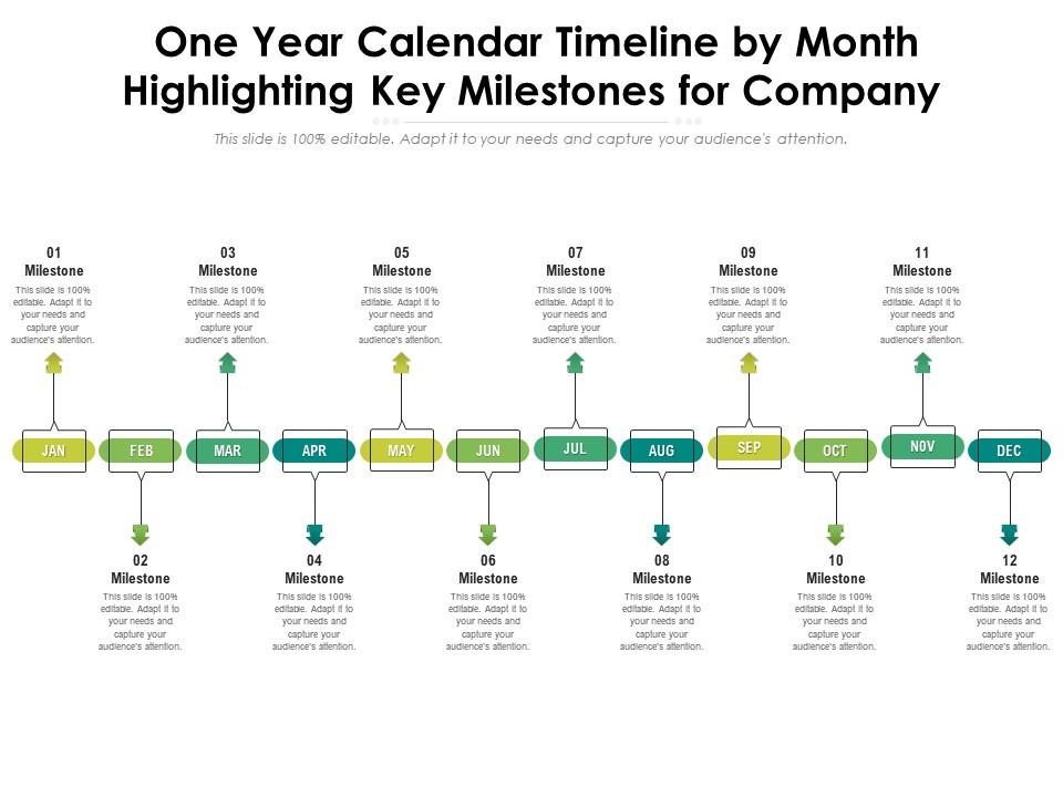 One year calendar timeline by month highlighting key milestones for company