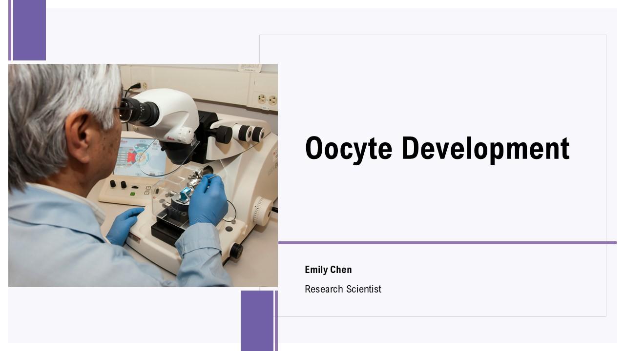 Oocyte Development PPT Sample ACP Oocyte Development PPT Sample ACP