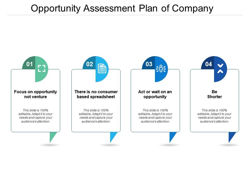 business opportunity assessment plan