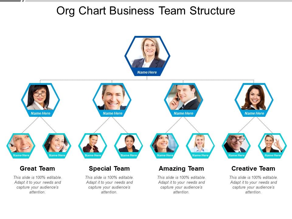 Org chart business team structure Slide01