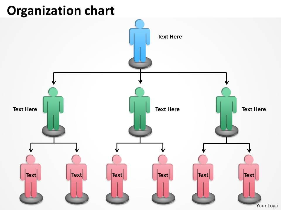 Organization chart ppt slide 24 | PowerPoint Presentation Templates | PPT  Template Themes | PowerPoint Presentation Portfolio