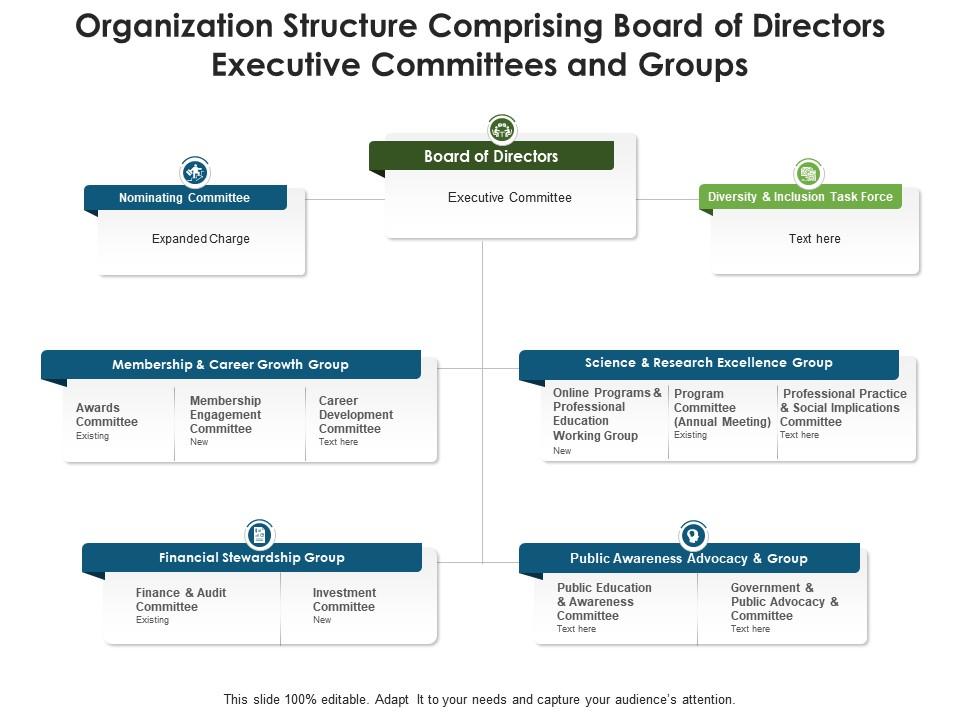 Organization structure comprising board of directors executive committees and groups