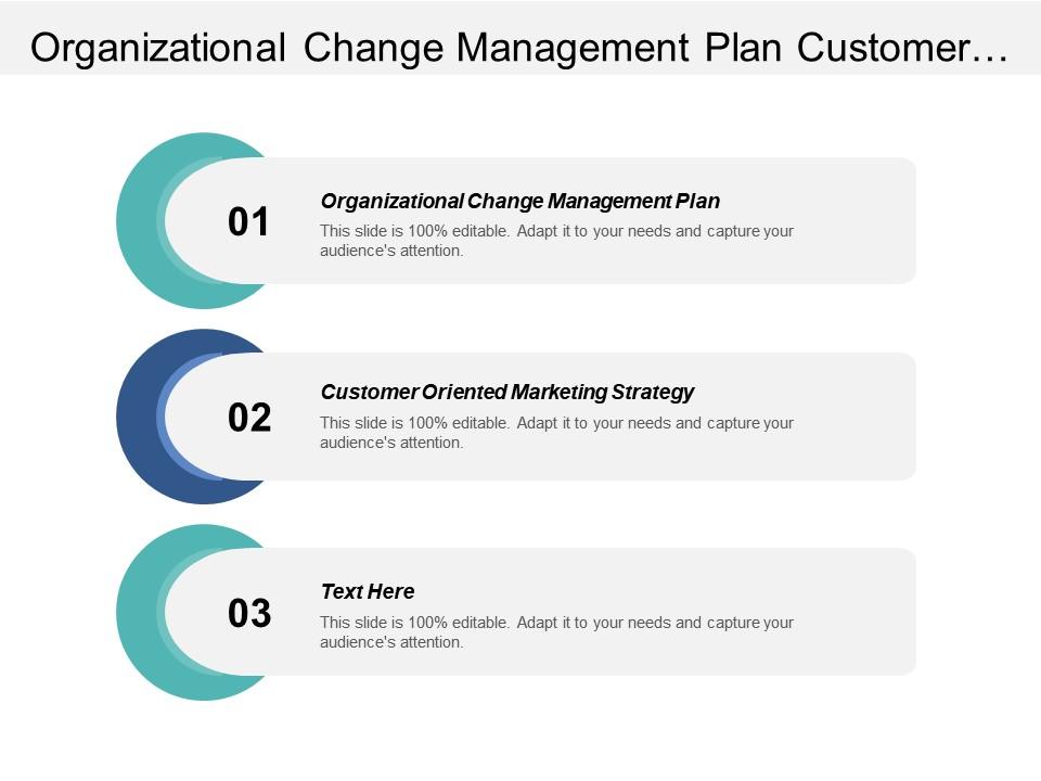 Organizational Change Management Plan Customer Oriented Marketing ...