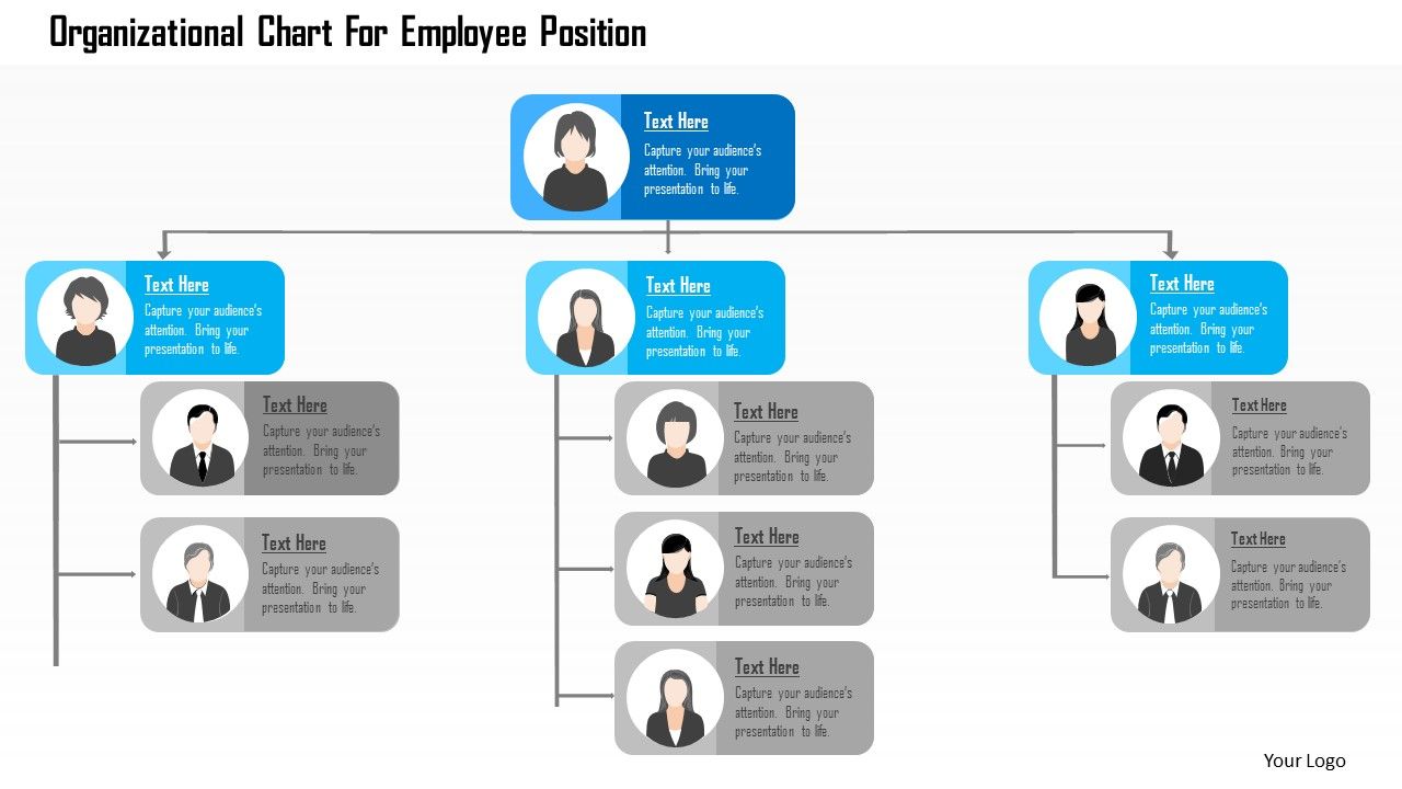 Organizational chart for employee position flat powerpoint design Slide01