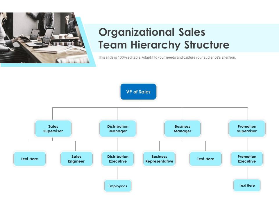 Organizational Sales Team Hierarchy Structure Presentation Graphics