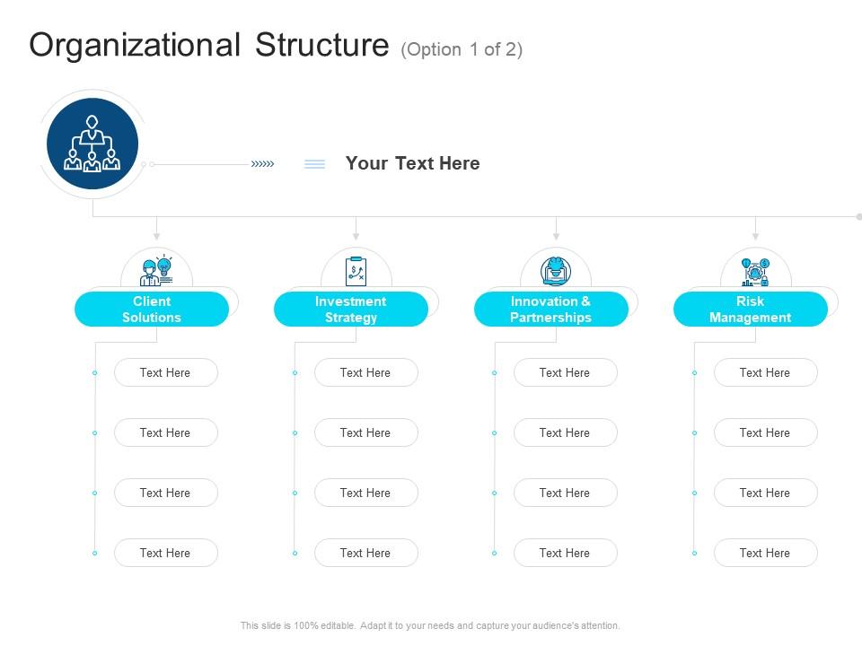 Organizational Structure Corporate Profiling Ppt Download
