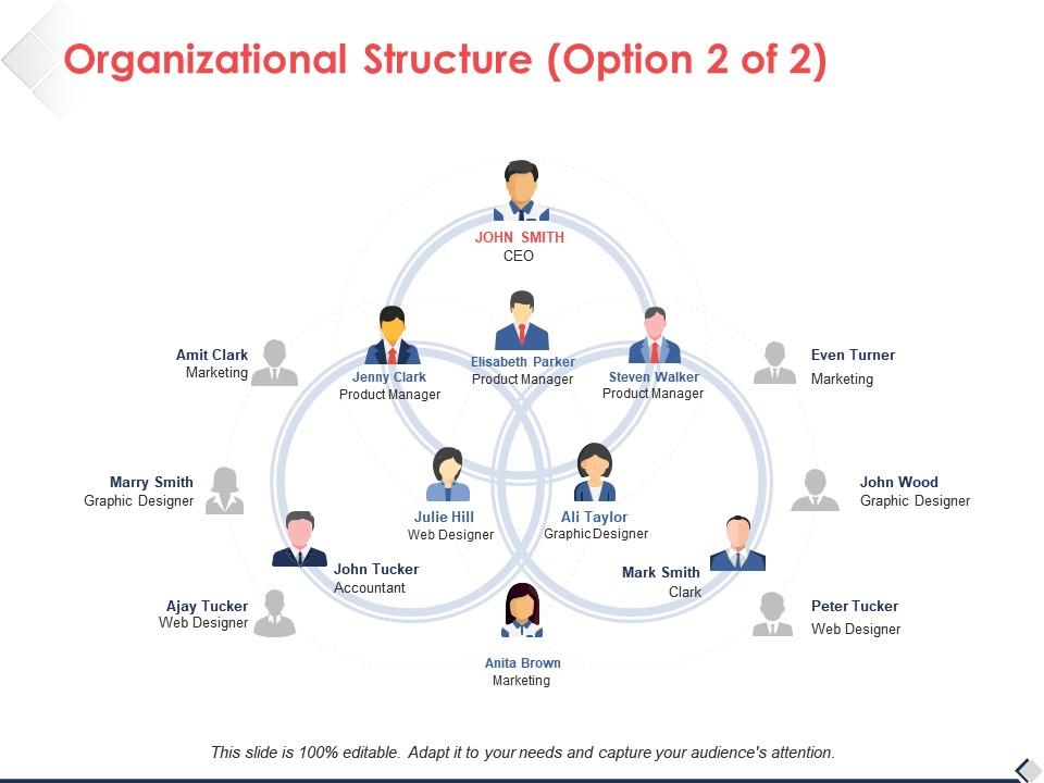 Organizational structure option ppt pictures design ideas Slide01