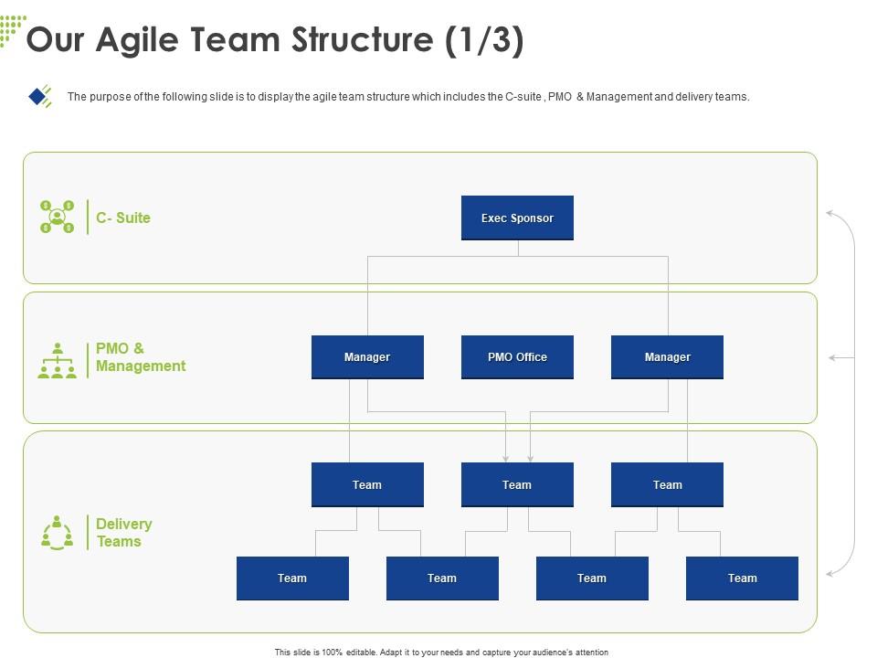 Our agile team structure ppt powerpoint presentation show graphics example Slide00