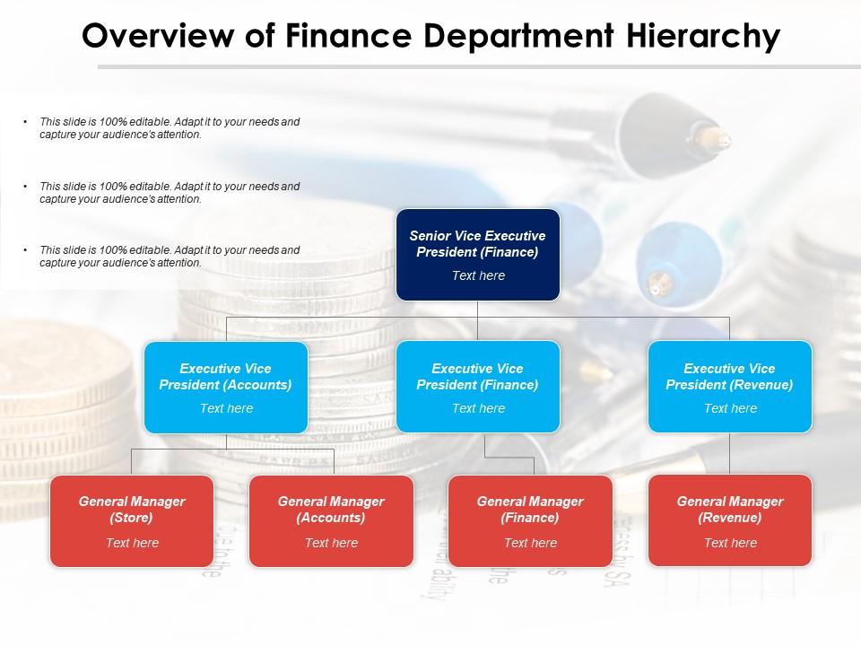 Overview of finance department hierarchy