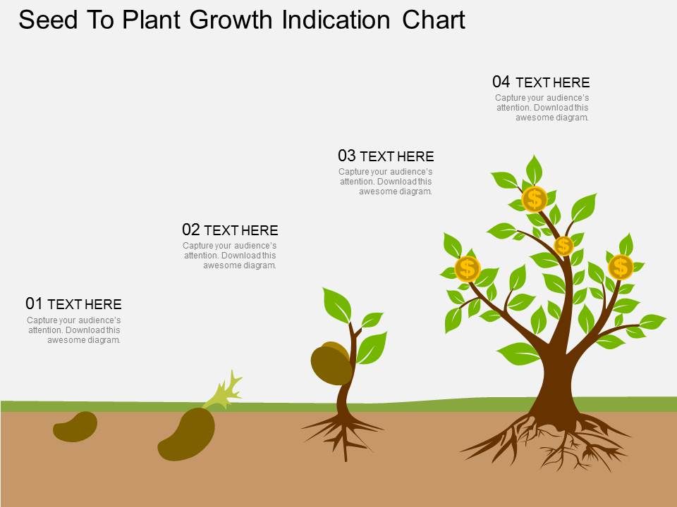 oy_seed_to_plant_growth_indication_chart_flat_powerpoint_design_Slide01